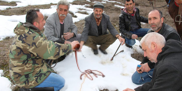 Her kar yağdığında bunu yapıyorlar! Kaşık kaşık yediler