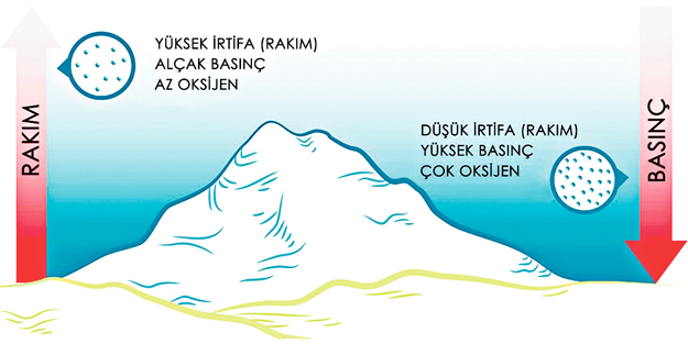 Her kuşun eti yenmez.. İnsan yüksekten uçmaya gelmez!