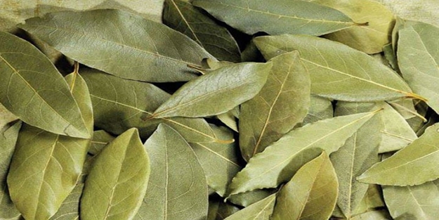 “Her mevsim eczanesi”