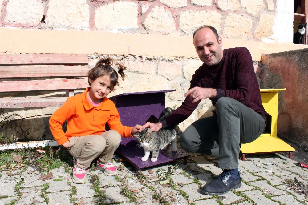 Her okula kedi evi 
