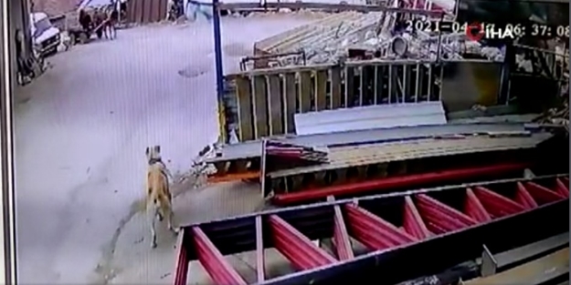 Her sabah hırsızlık yapan şahıslar kamerada