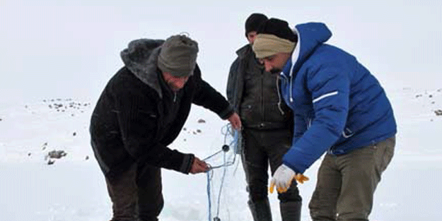 Her sabah kilometrelerce yol yürüyüp buraya geliyorlar… Yaptıkları işe çok şaşıracaksınız!
