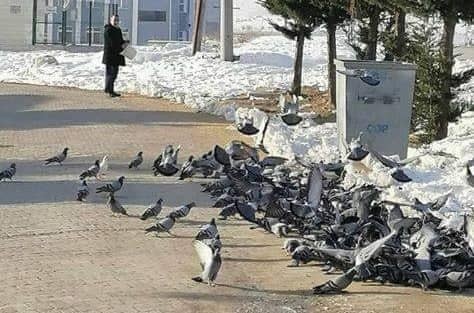 Her sabah kuşlar onu bekliyor 