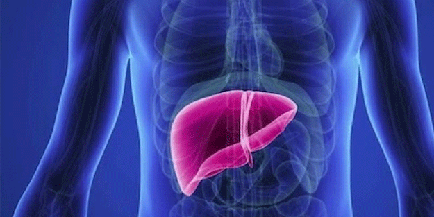 Her sabah yaptığı kahvaltı sonu oluyordu! Düzenli yedi, ciğeri çürüdü