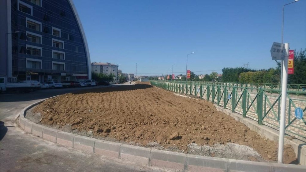 Her şey daha yeşil bir Nilüfer için 