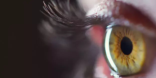 Her şey gözümüzde saklıymış! 11 yıldır mücadele eden Dr. He, açıkladı!