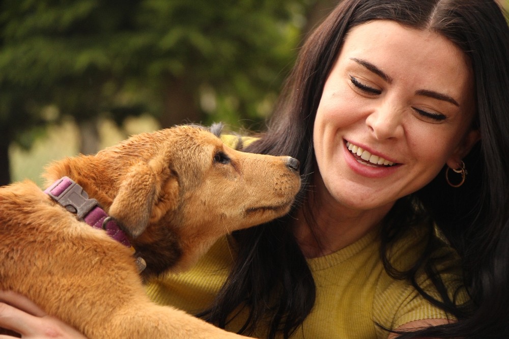 Her şeyi bırakarak kendisini sokak hayvanlarına adadı 
