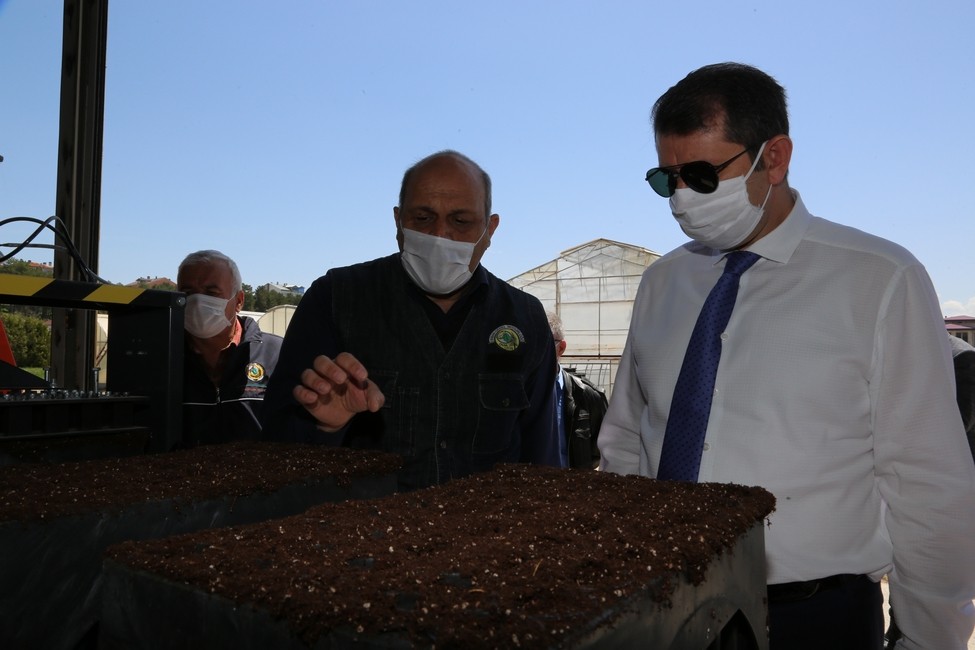 Her Sivaslı için bir fidan dikilecek 