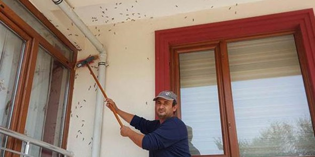 Her tarafı istila ettiler... Valilik acil toplandı