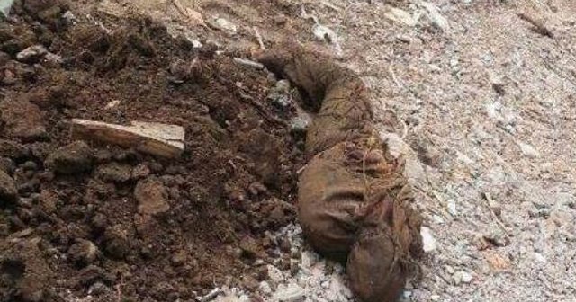 Her yerden terörist cesedi çıkıyor