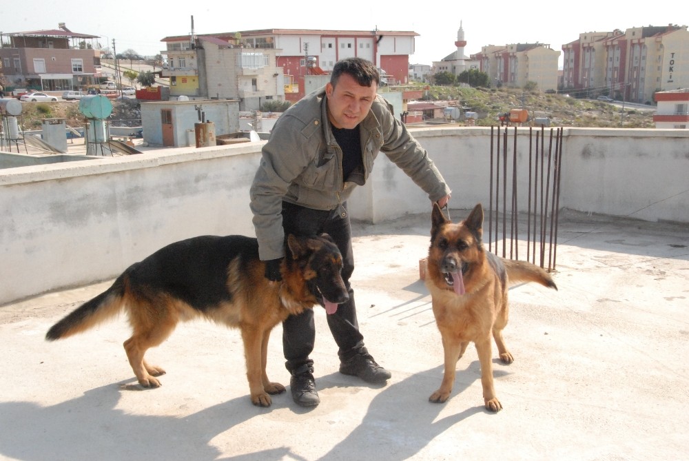 ’Hera’ ve ’Clan’ şampiyonluğa hazırlanıyor 