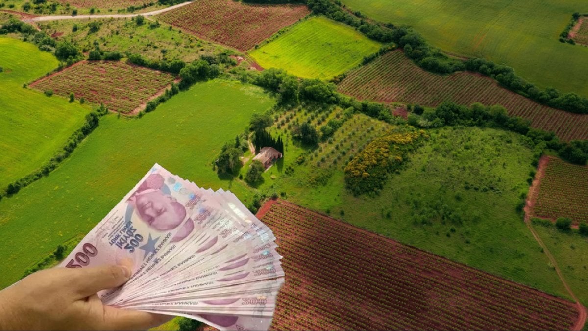 Herkes apar topar oradan arsa almaya başladı! Sebebi ise bakın ne çıktı