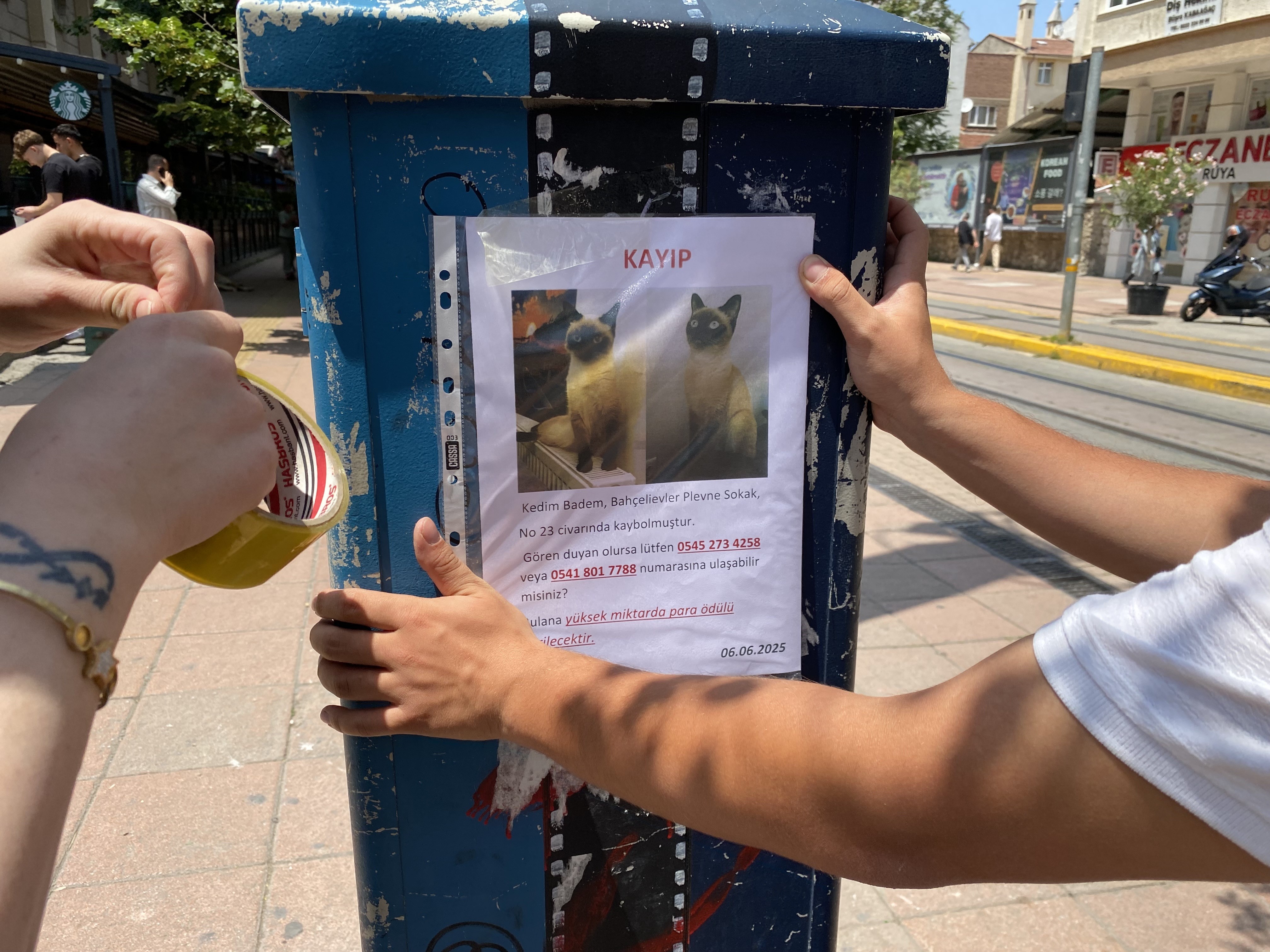 Herkes bayramı kutlarken o sokak sokak kayıp kedisini aradı