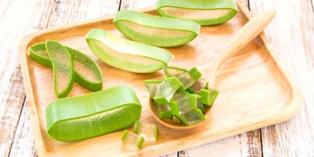 Herkes bu bitkiyi konuşuyor!