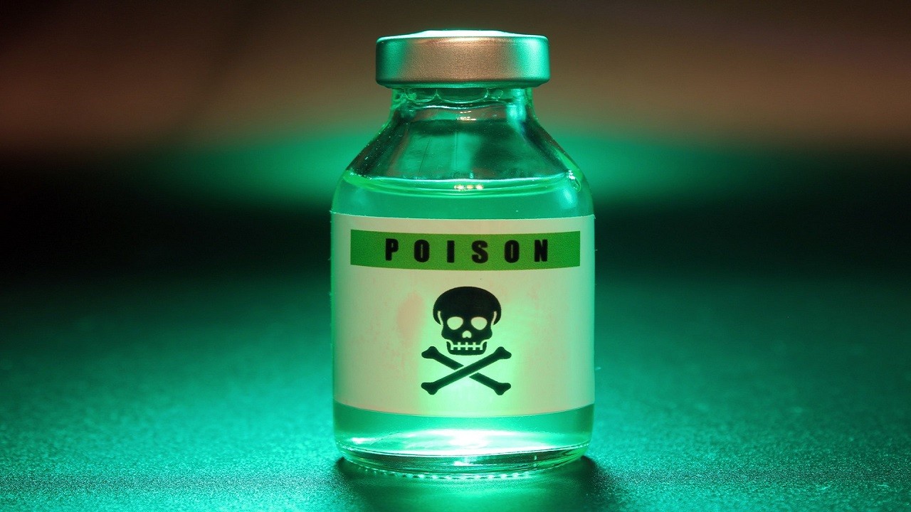 Herkes bu sosyal medya fenomenini konuşuyor! Bebeğini zehirleyerek bağış topladı