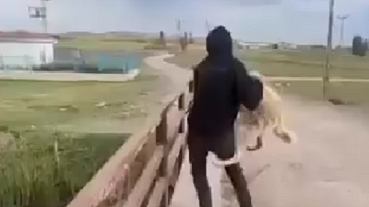 Herkes bunu konuşuyor! Buz gibi soğukta köpeği suya attı