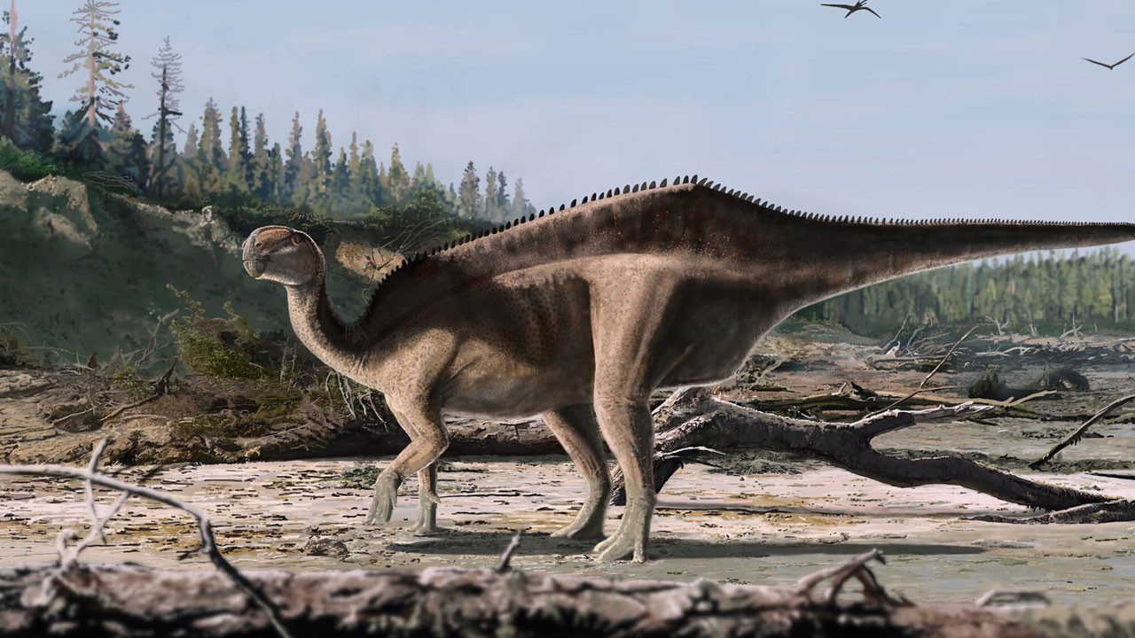 Herkes bunu konuşuyor! O ülkede yeni dinozor türü keşfedildi