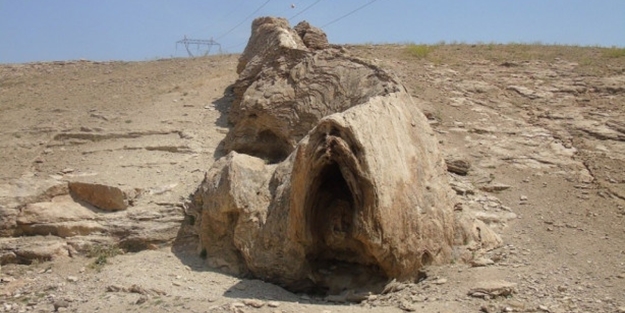 Herkes canavar sanıyor!