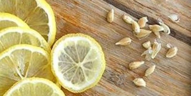 Herkes çöpe atıyor oysa ki, limon çekirdekleri kendi başına öyle bir işe yarıyor ki! O derde de devaymış!