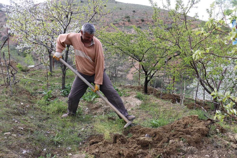Herkes evde onlar tarlada 