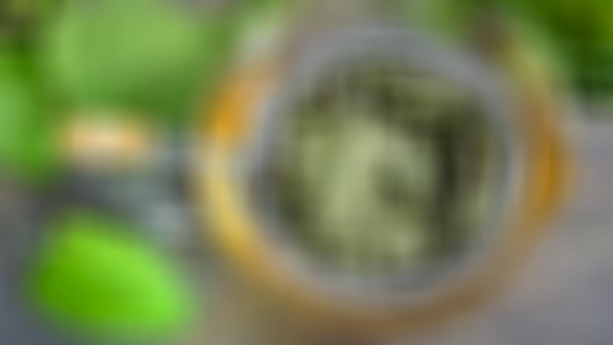 Herkes kaynanasından kaçar gibi kaçıyor ama öyle bir faydası var ki... Yaşlanmayı geciktiriyor, iltihabı söküyor! Meğer her tutamı hazineymiş