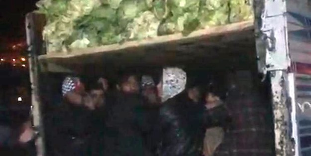 Herkes lahana sanıyordu... Onlarca göçmen çıktı!