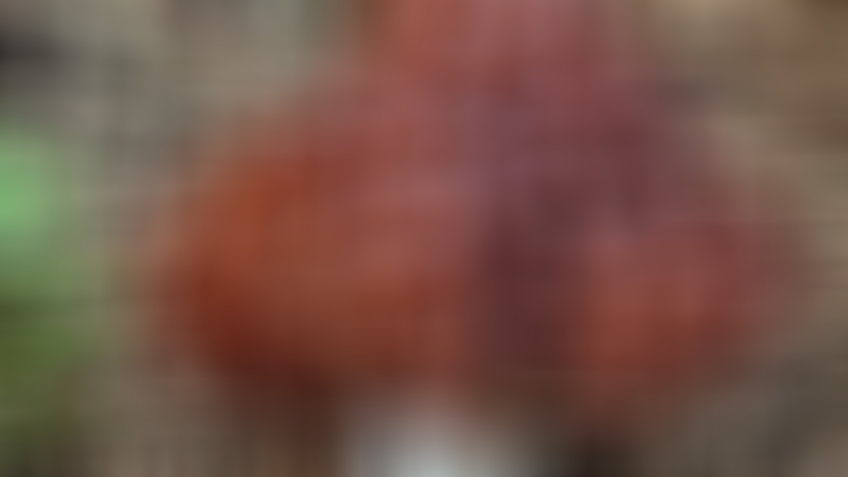 Herkes, ondan şeytandan kaçar gibi kaçıyor ama... Bilim insanları açıkladı: Onu yiyenler zıpkın gibi, fişek gibi, demir gibi oluyor