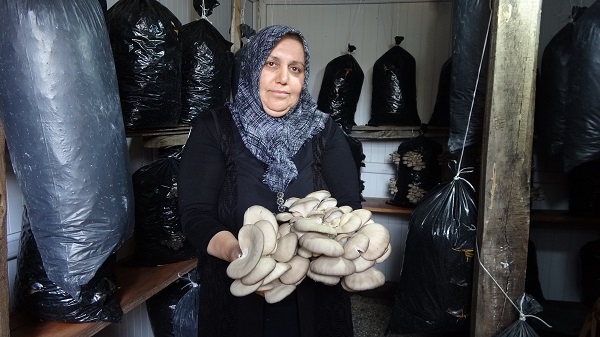 Herkes onu 'Mantar Ana' olarak tanıyor! 5 metrekare alanda ekmeğini böyle kazanıyor