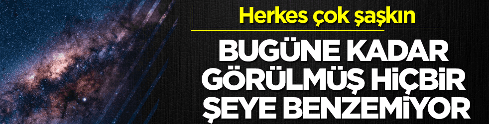 Herkes şaşkın! Bugüne kadar görülmüş hiçbir şeye benzemiyor