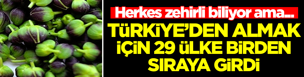 Herkes zehirli biliyor ama Türkiye'den almak için 29 ülke sıraya girdi