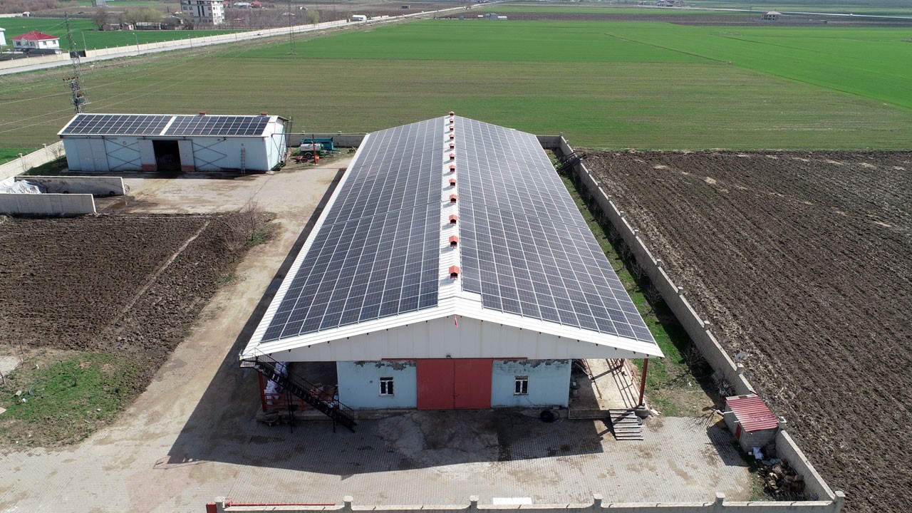 Herkese örnek oldu! Devlet desteğiyle kurdu, çifte kazanç sağladı