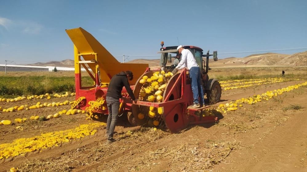 Herkese tavsiye ediyor! İlk defa başladı ama sonuç harika