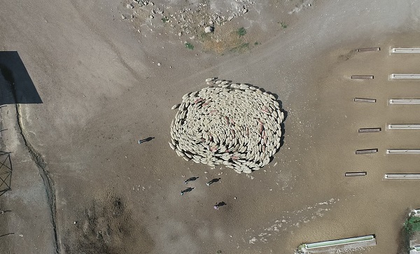 Herkesi şaşırtan görüntü! Uzaktan görenler ne olduğunu anlayamadı