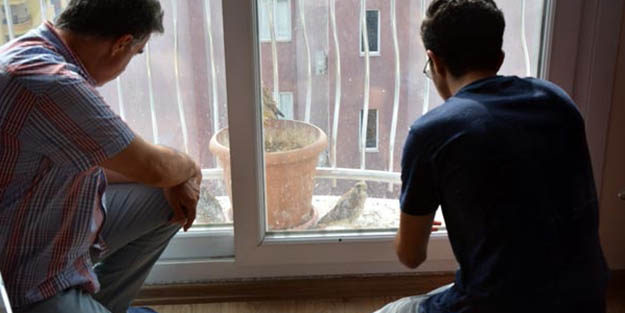 Herkesin belgesellerden izlediğini onlar her yıl camdan izliyor!