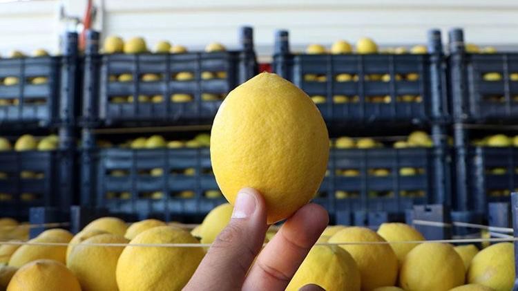 Herkesin evine giren limonda büyük rezalet! Duyan, okkalı bir "yuh" çekiyor