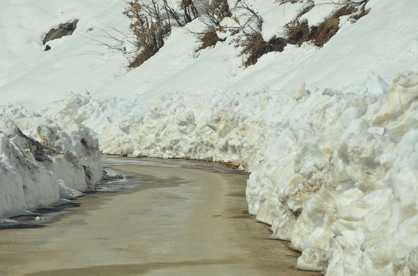 Herkesin yüreği ağzında! Havalar ısınınca olmaya başladı