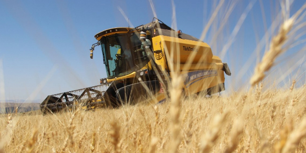 Hey maşallah! Bir avuç ata tohumu, 70 ton ürün verdi...