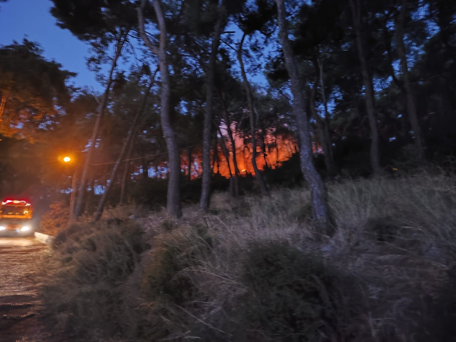 Heybeliada'da ormanlık alanda yangın