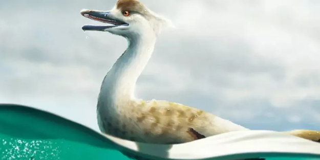 Heyecanlandıran, dünyada ilk keşif! Benzeri yok ''Natovenator polydontus'' adı verildi! Milyar yıllık sır