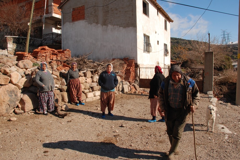 Heyelan mağdurları hayvanlarını bırakıp gidemiyor 