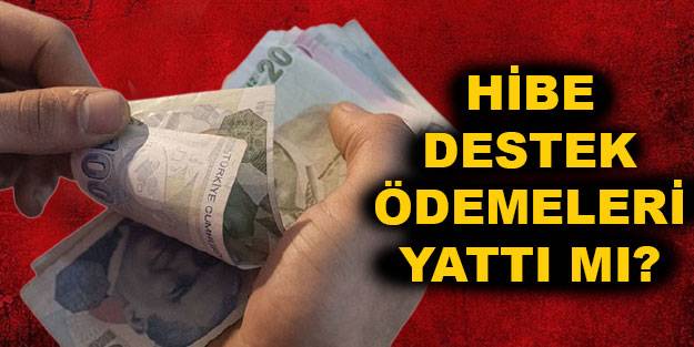 Hibe desteği TC kimlik son hanesine göre hibe ödemeleri ne zaman? Hibe destek ödemesi nereye yatırılacak?