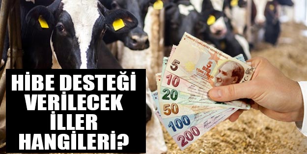 Hibe desteğinden yararlanacak iller hangileri?
