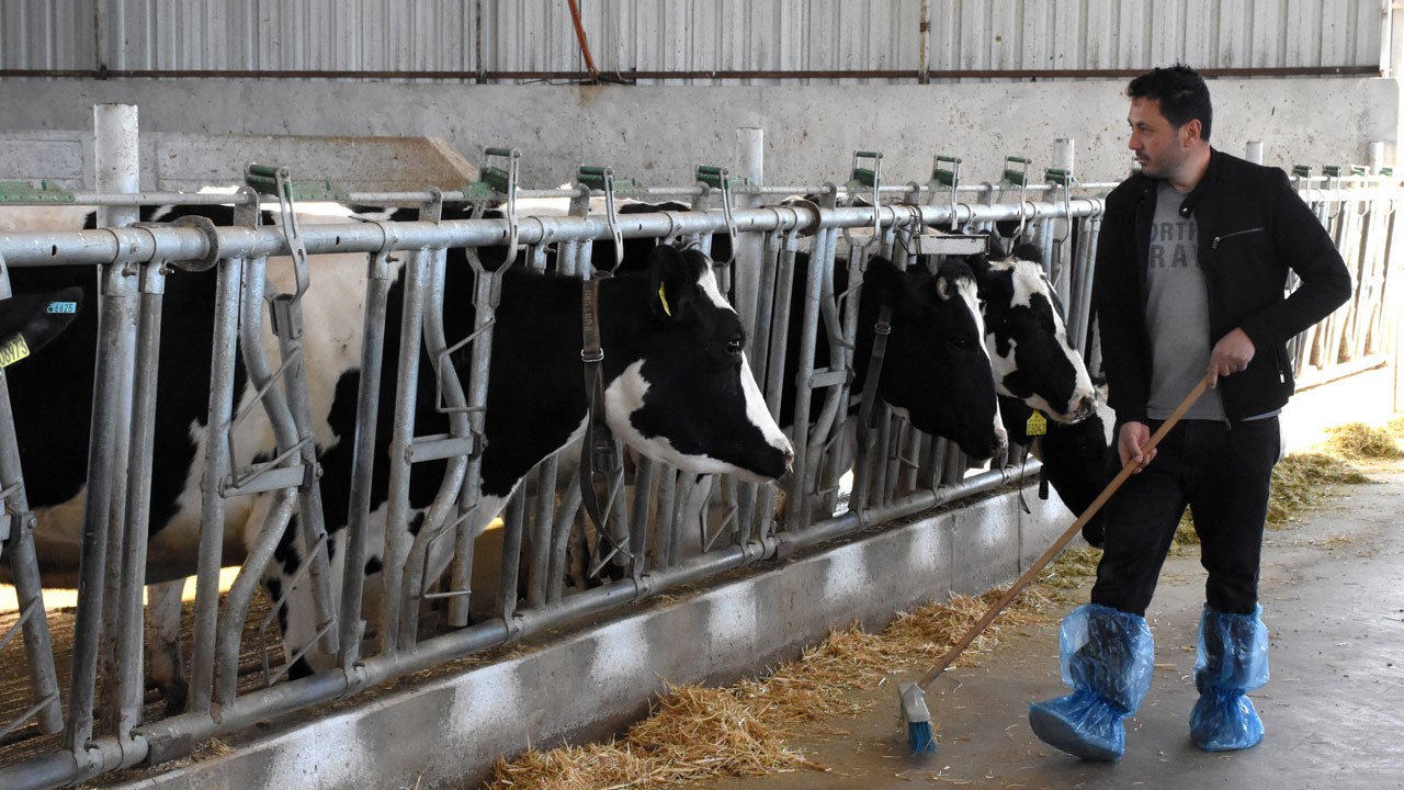 Hibe desteğiyle süt çiftliği kurdu, 7 kişiye iş kapısı açtı!