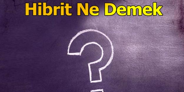 Hibrid nedir ne anlama gelir?
