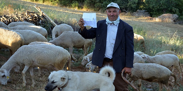 Hiç geçmediği köprüden 'kaçak geçiş' cezası!