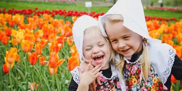 Hiç kimse bunu beklemiyordu! Hollanda’da 