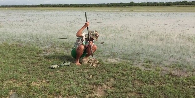 Hiçbir alet kullanmadan balık tuzağı yaptı