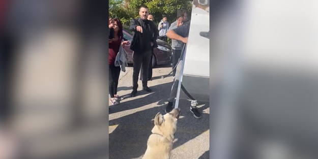 Hiçbir işe hayrınız yok bari engel olmayın!