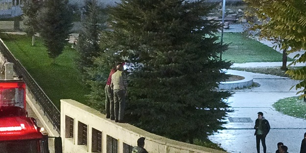 Hiçbir şey fayda etmedi! Ağaçtan indiremediler