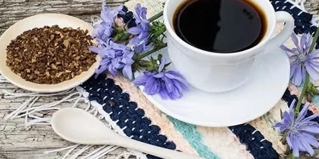 Hindiba kahvesinin faydaları: Neye iyi gelir, ne için kullanılır?